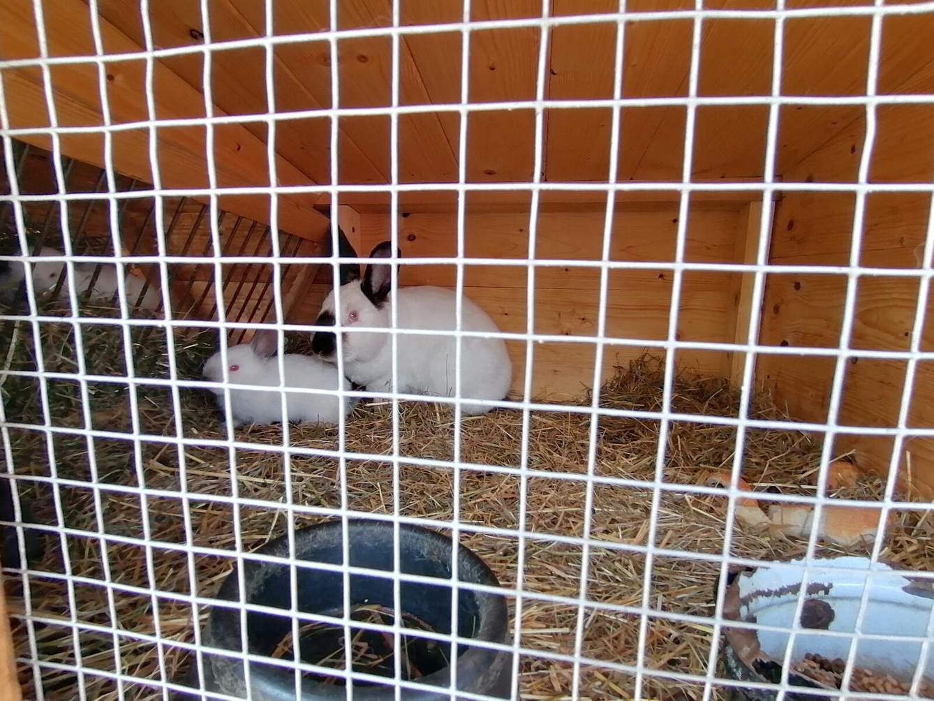 Sláva, nazdar výletu:-) (Babiččin statek - Líšnice) I. část - 114