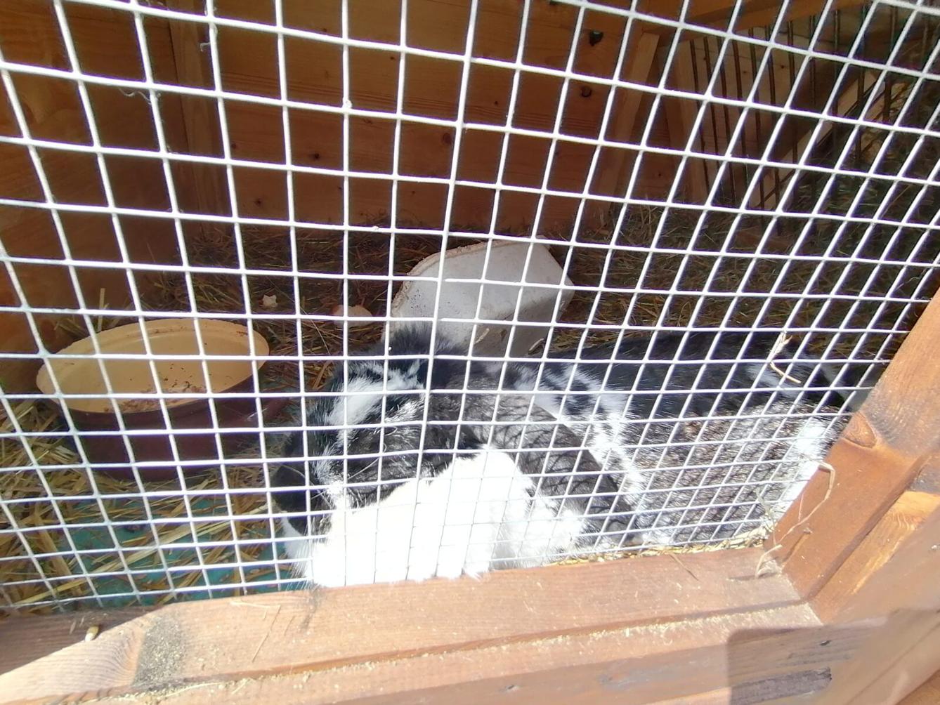 Sláva, nazdar výletu:-) (Babiččin statek - Líšnice) I. část - 115