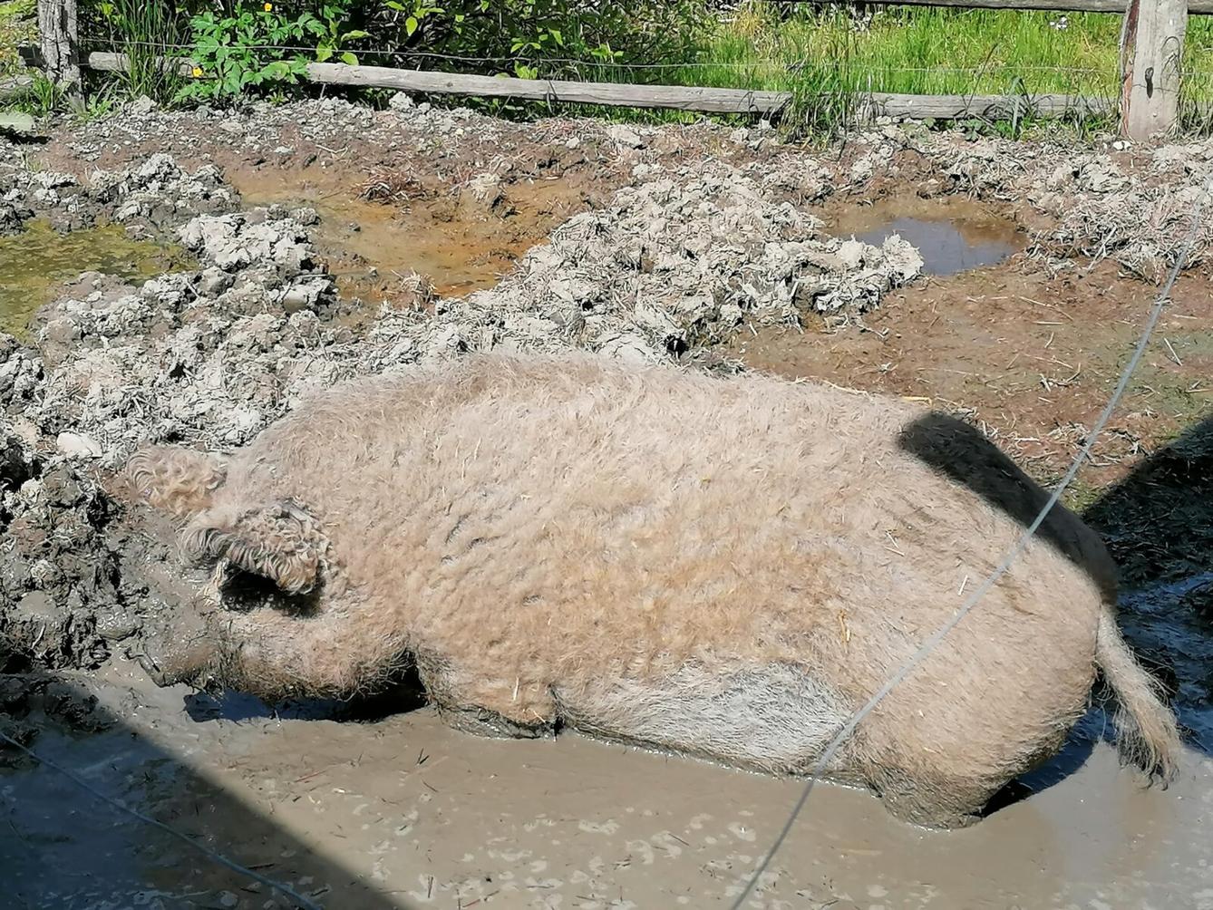 Sláva, nazdar výletu:-) (Babiččin statek - Líšnice) I. část - 116