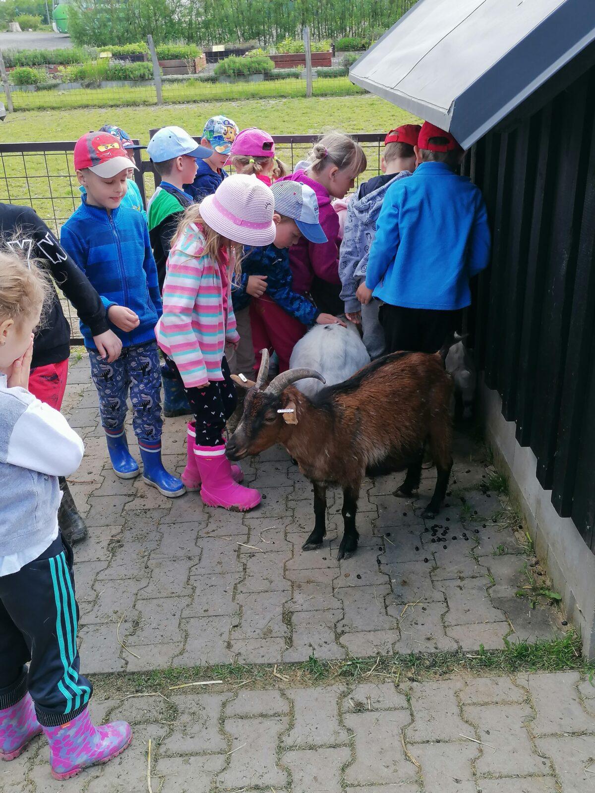 Sláva, nazdar výletu:-) (Babiččin statek - Líšnice) I. část - 118