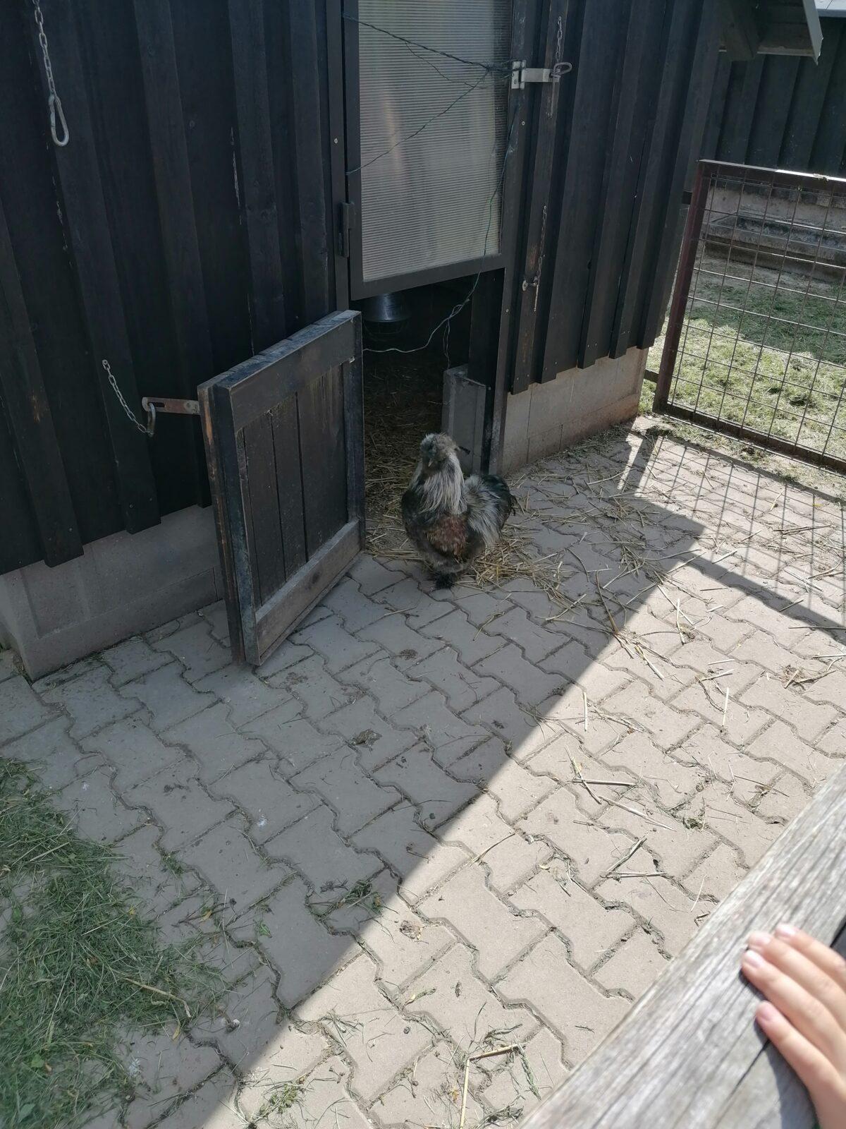 Sláva, nazdar výletu:-) (Babiččin statek - Líšnice) I. část - 121