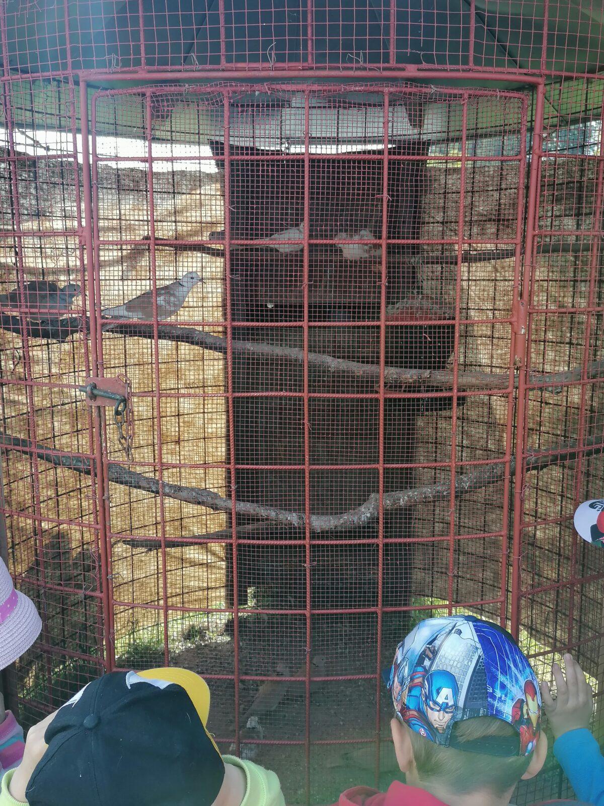 Sláva, nazdar výletu:-) (Babiččin statek - Líšnice) I. část - 125