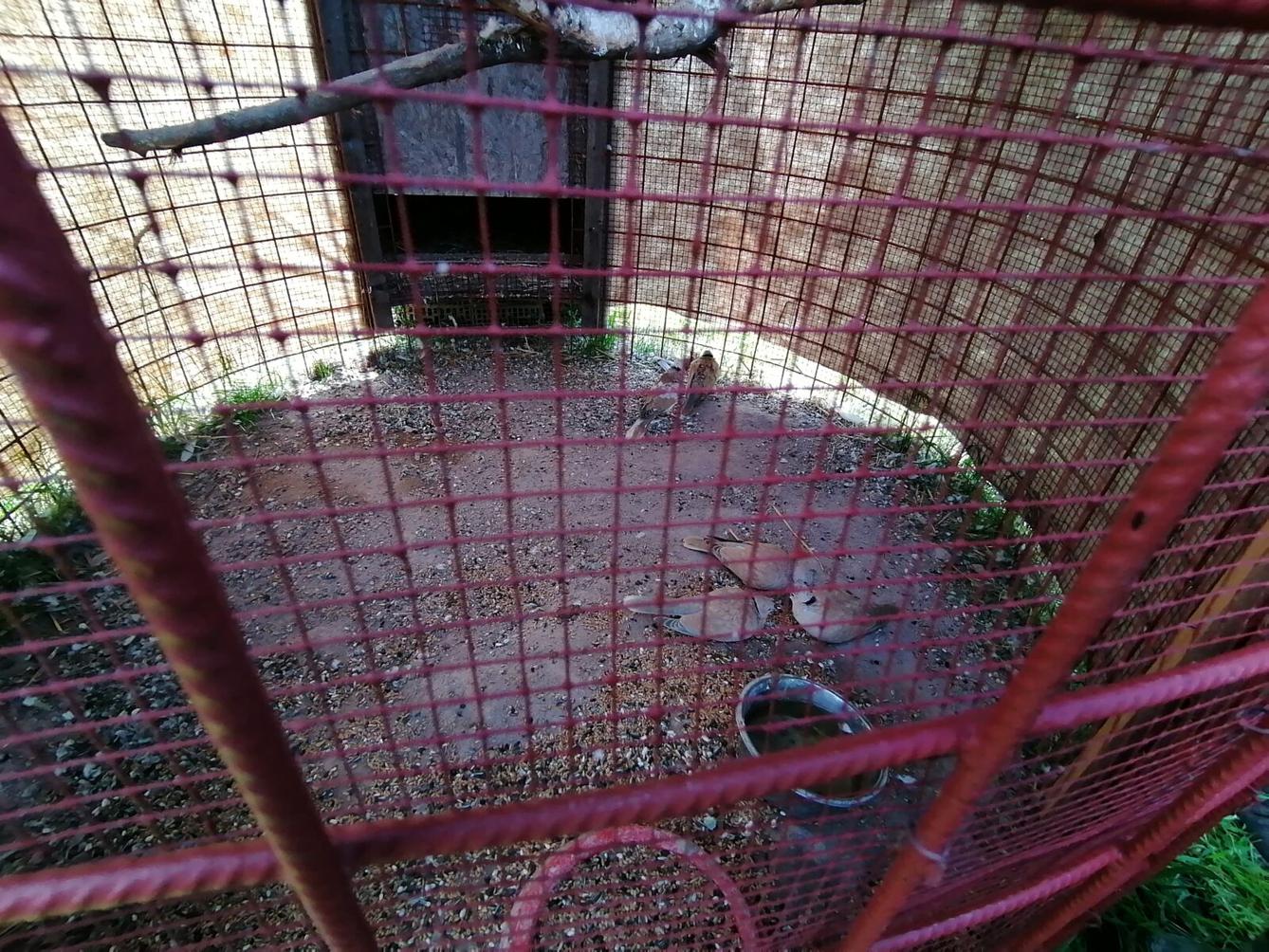 Sláva, nazdar výletu:-) (Babiččin statek - Líšnice) I. část - 127