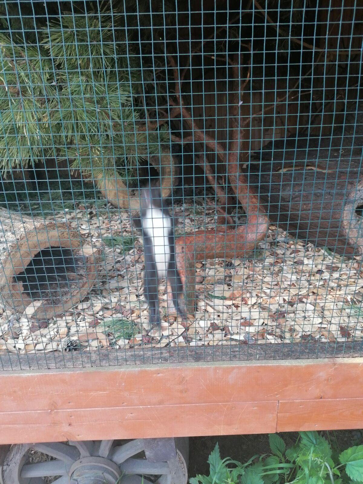 Sláva, nazdar výletu!!!!!! "Záchranná stanice Pasíčka" - 46