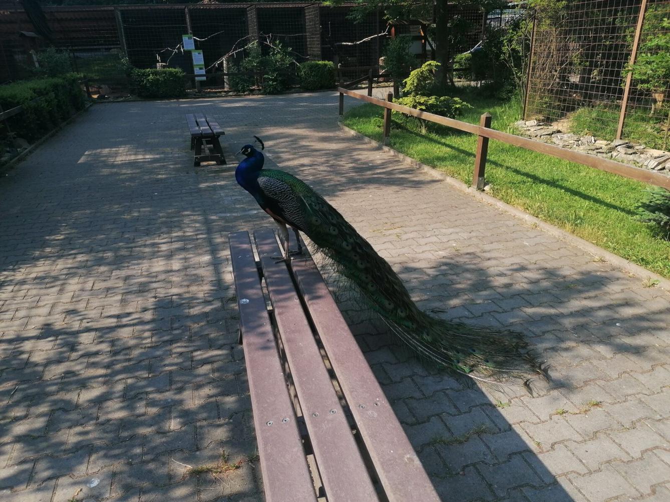 Sláva, nazdar výletu!!!!!! "Záchranná stanice Pasíčka" - 49