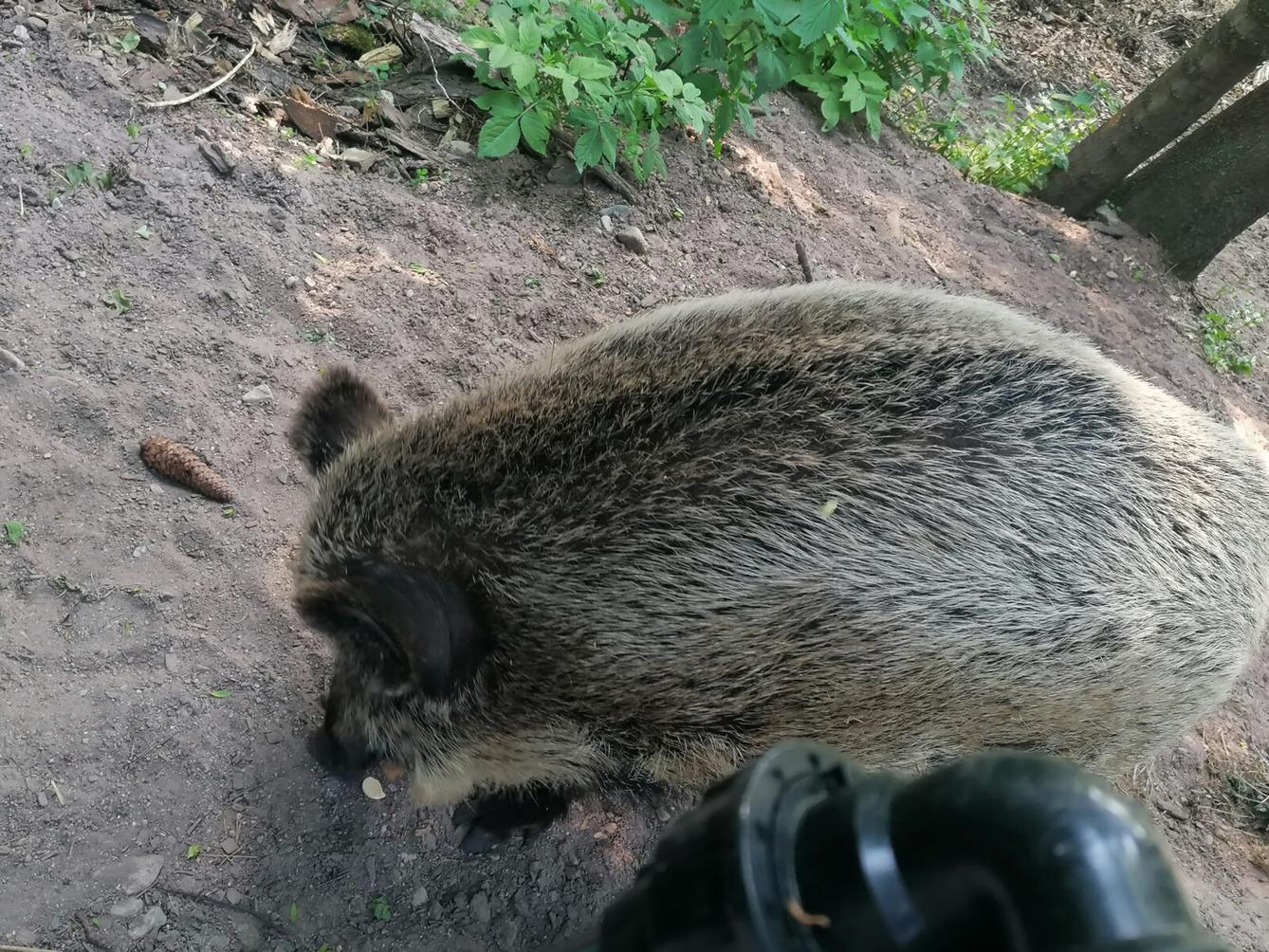 Sláva, nazdar výletu!!!!!! "Záchranná stanice Pasíčka" - 52