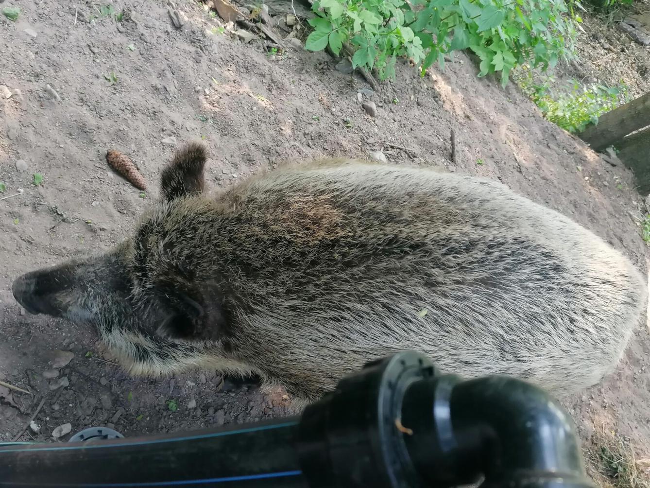 Sláva, nazdar výletu!!!!!! "Záchranná stanice Pasíčka" - 53