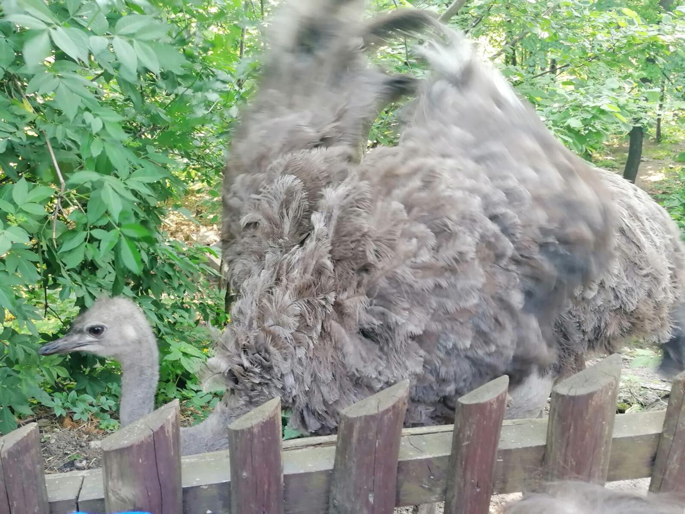 Sláva, nazdar výletu!!!!!! "Záchranná stanice Pasíčka" - 54