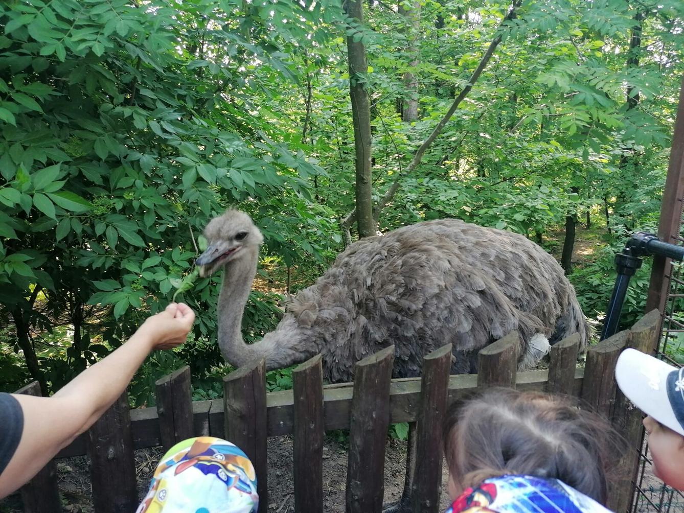 Sláva, nazdar výletu!!!!!! "Záchranná stanice Pasíčka" - 55