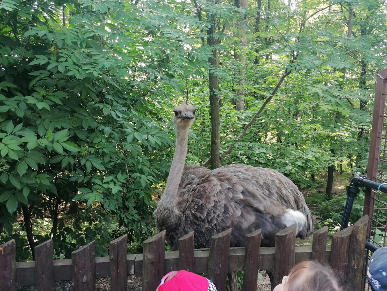 Sláva, nazdar výletu!!!!!! "Záchranná stanice Pasíčka" - 56