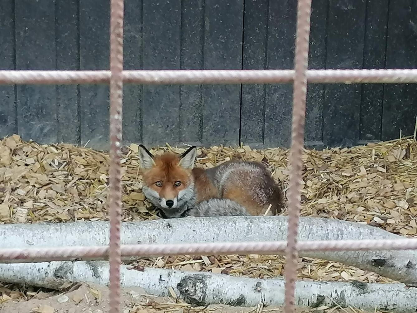 Sláva, nazdar výletu!!!!!! "Záchranná stanice Pasíčka" - 61