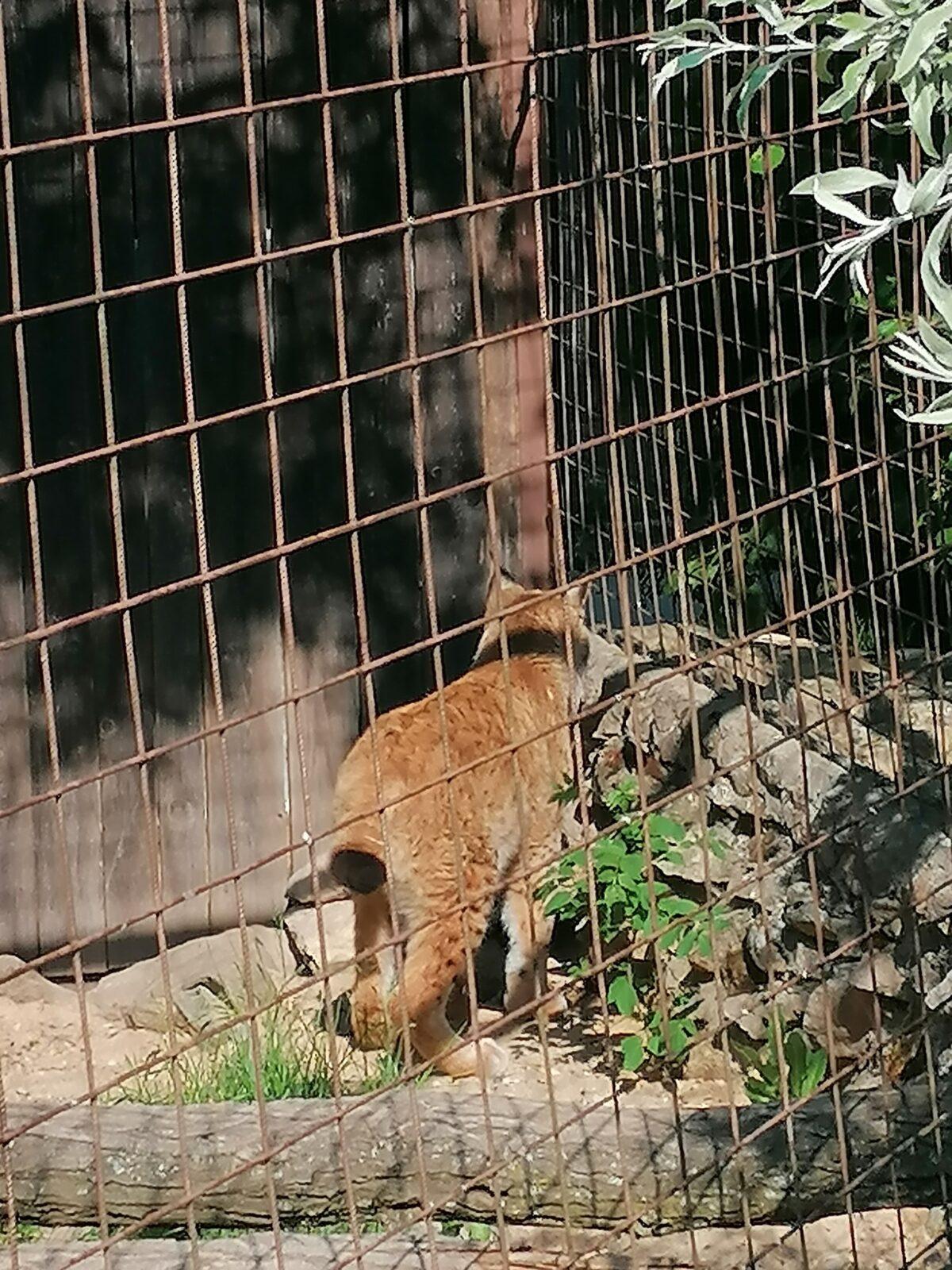 Sláva, nazdar výletu!!!!!! "Záchranná stanice Pasíčka" - 62