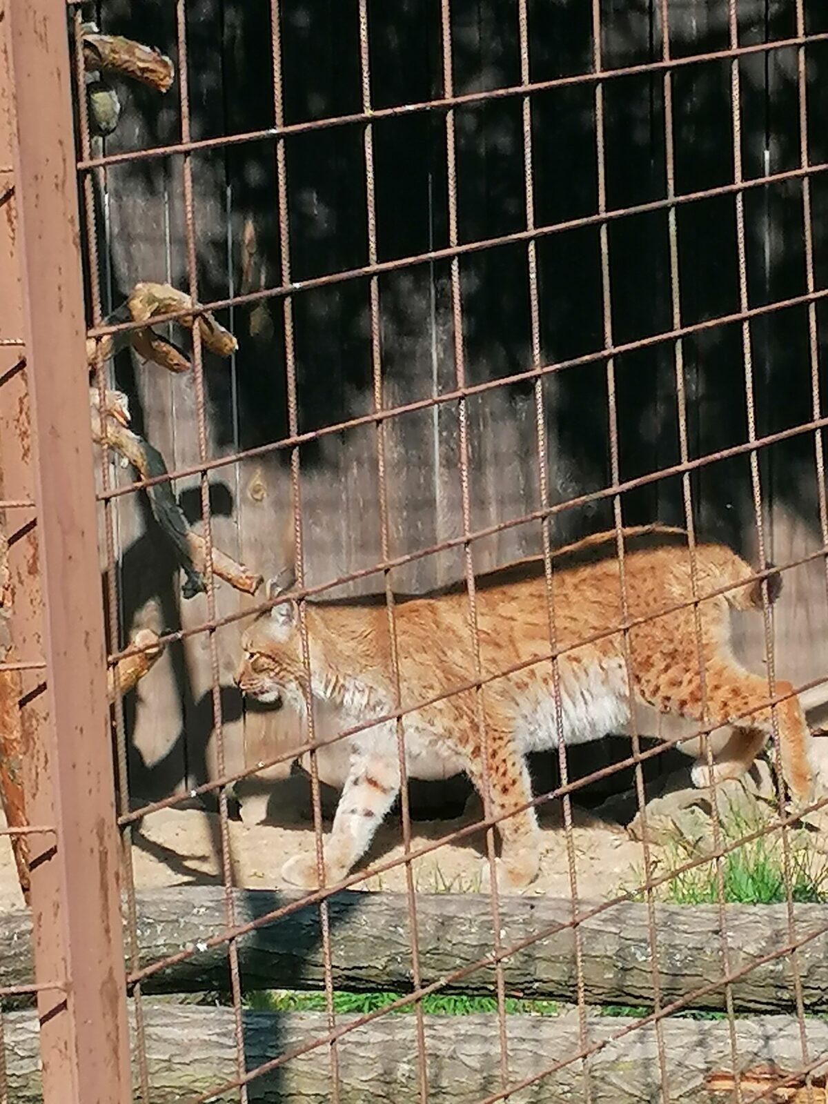 Sláva, nazdar výletu!!!!!! "Záchranná stanice Pasíčka" - 63