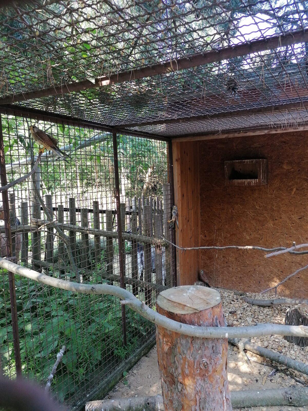 Sláva, nazdar výletu!!!!!! "Záchranná stanice Pasíčka" - 66