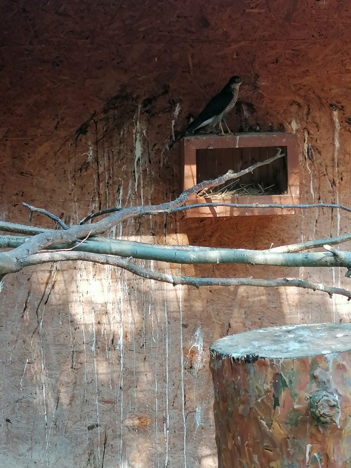 Sláva, nazdar výletu!!!!!! "Záchranná stanice Pasíčka" - 67