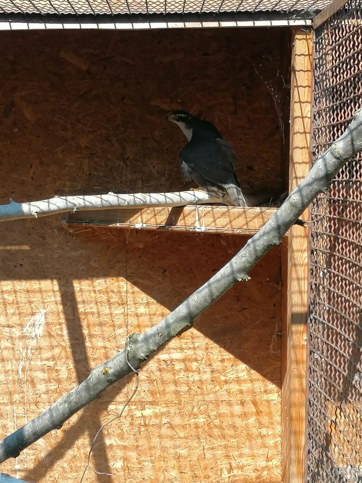 Sláva, nazdar výletu!!!!!! "Záchranná stanice Pasíčka" - 68