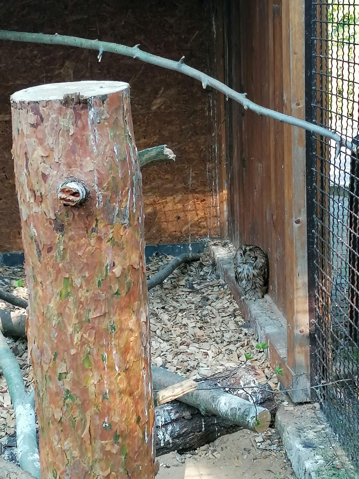 Sláva, nazdar výletu!!!!!! "Záchranná stanice Pasíčka" - 71