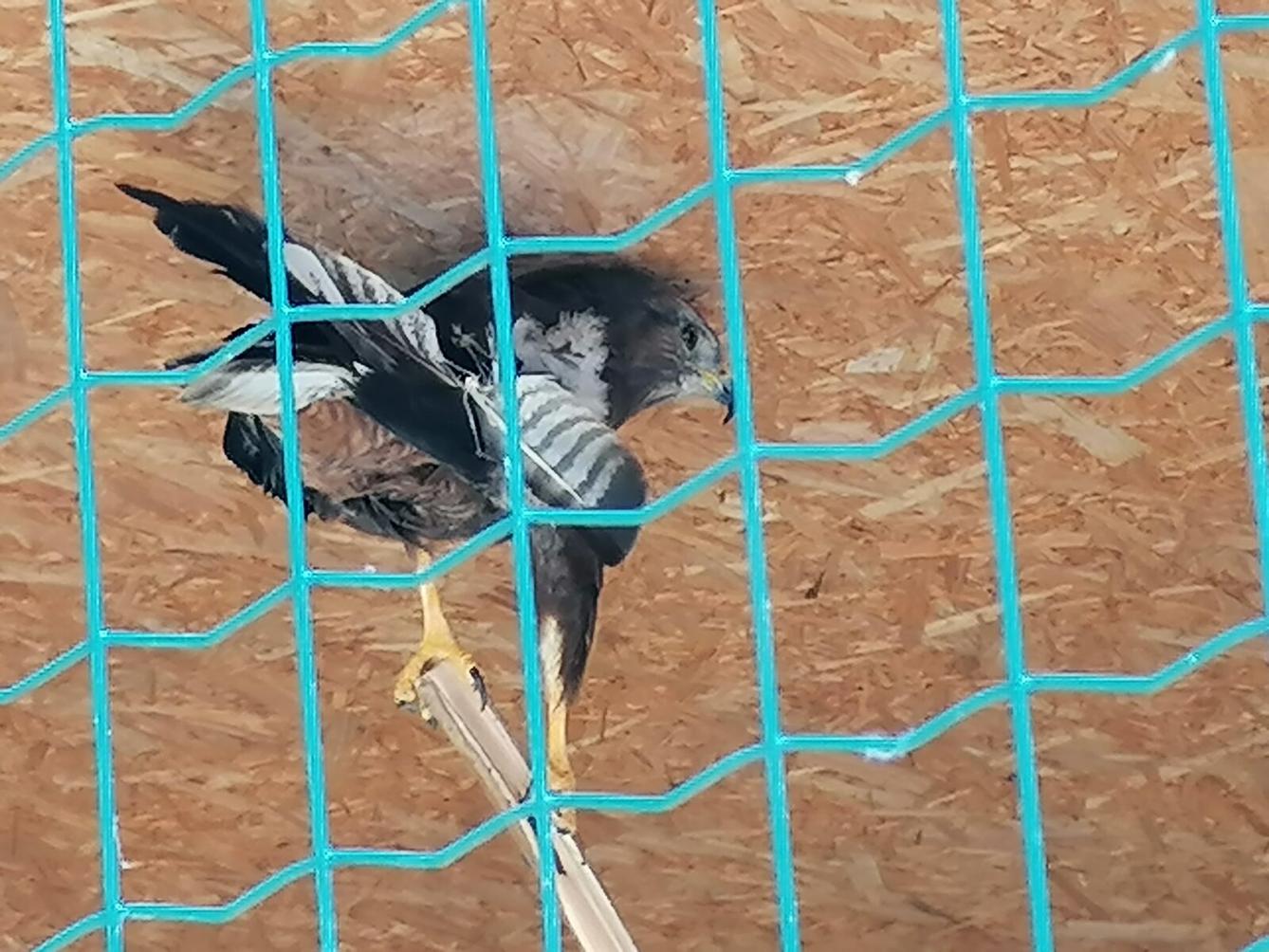 Sláva, nazdar výletu!!!!!! "Záchranná stanice Pasíčka" - 72