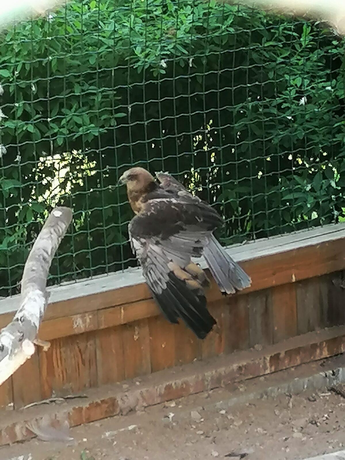 Sláva, nazdar výletu!!!!!! "Záchranná stanice Pasíčka" - 73