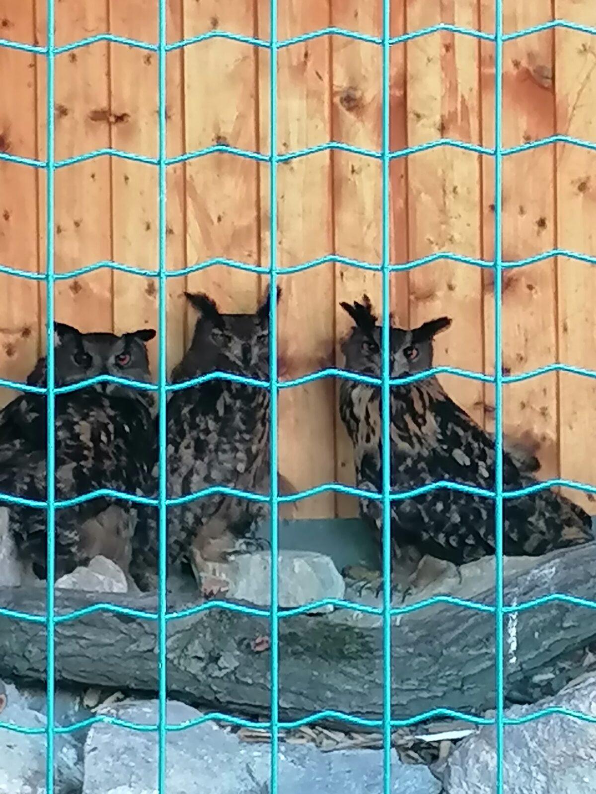 Sláva, nazdar výletu!!!!!! "Záchranná stanice Pasíčka" - 74