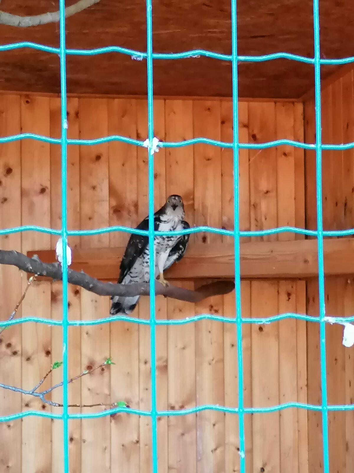 Sláva, nazdar výletu!!!!!! "Záchranná stanice Pasíčka" - 76