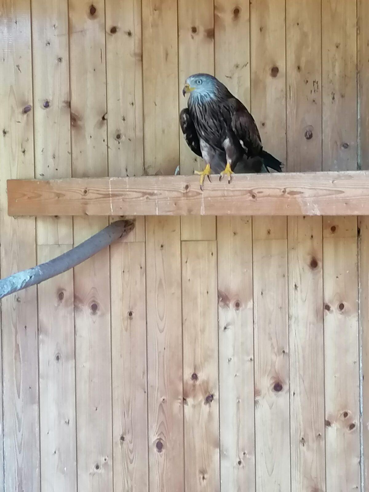 Sláva, nazdar výletu!!!!!! "Záchranná stanice Pasíčka" - 77