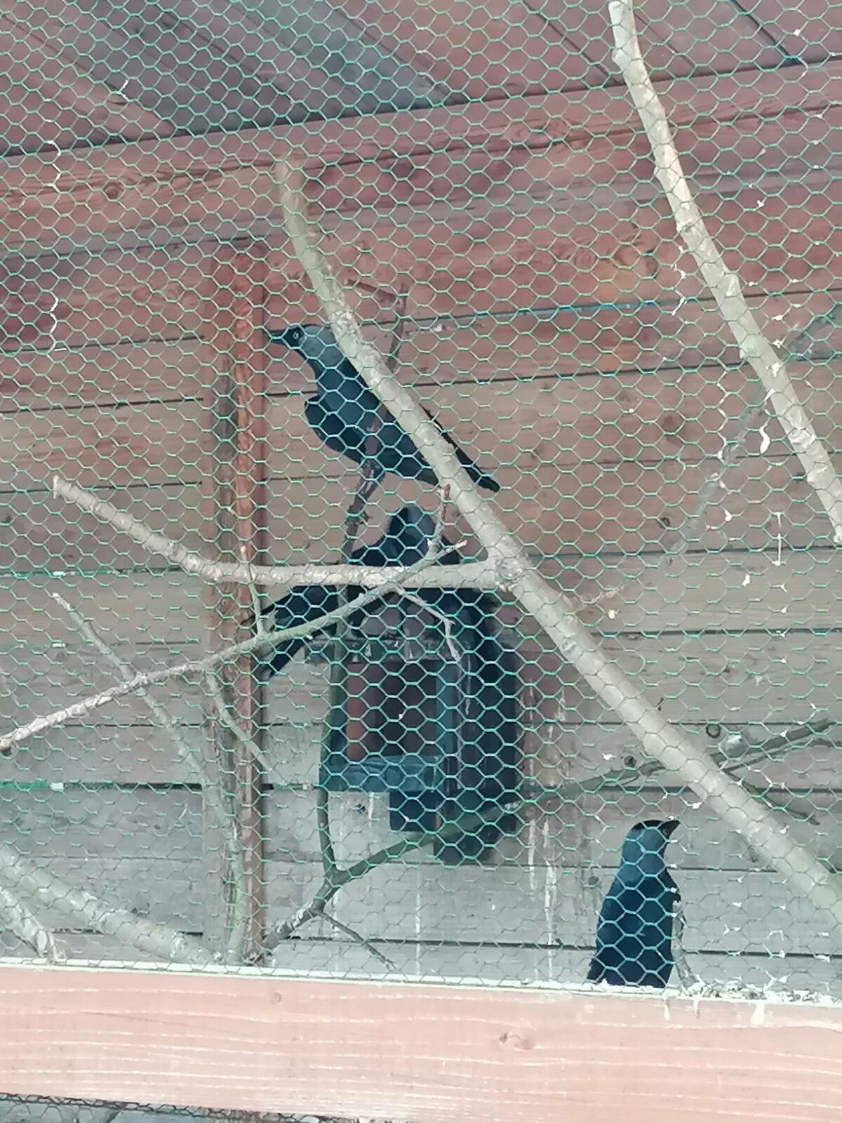 Sláva, nazdar výletu!!!!!! "Záchranná stanice Pasíčka" - 79