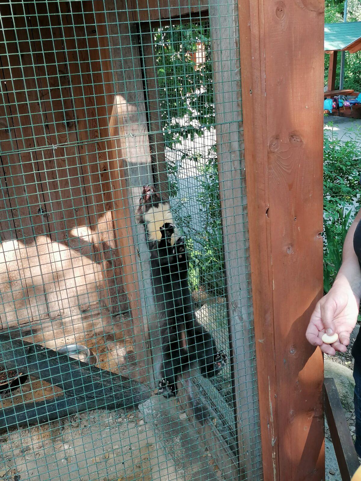 Sláva, nazdar výletu!!!!!! "Záchranná stanice Pasíčka" - 81