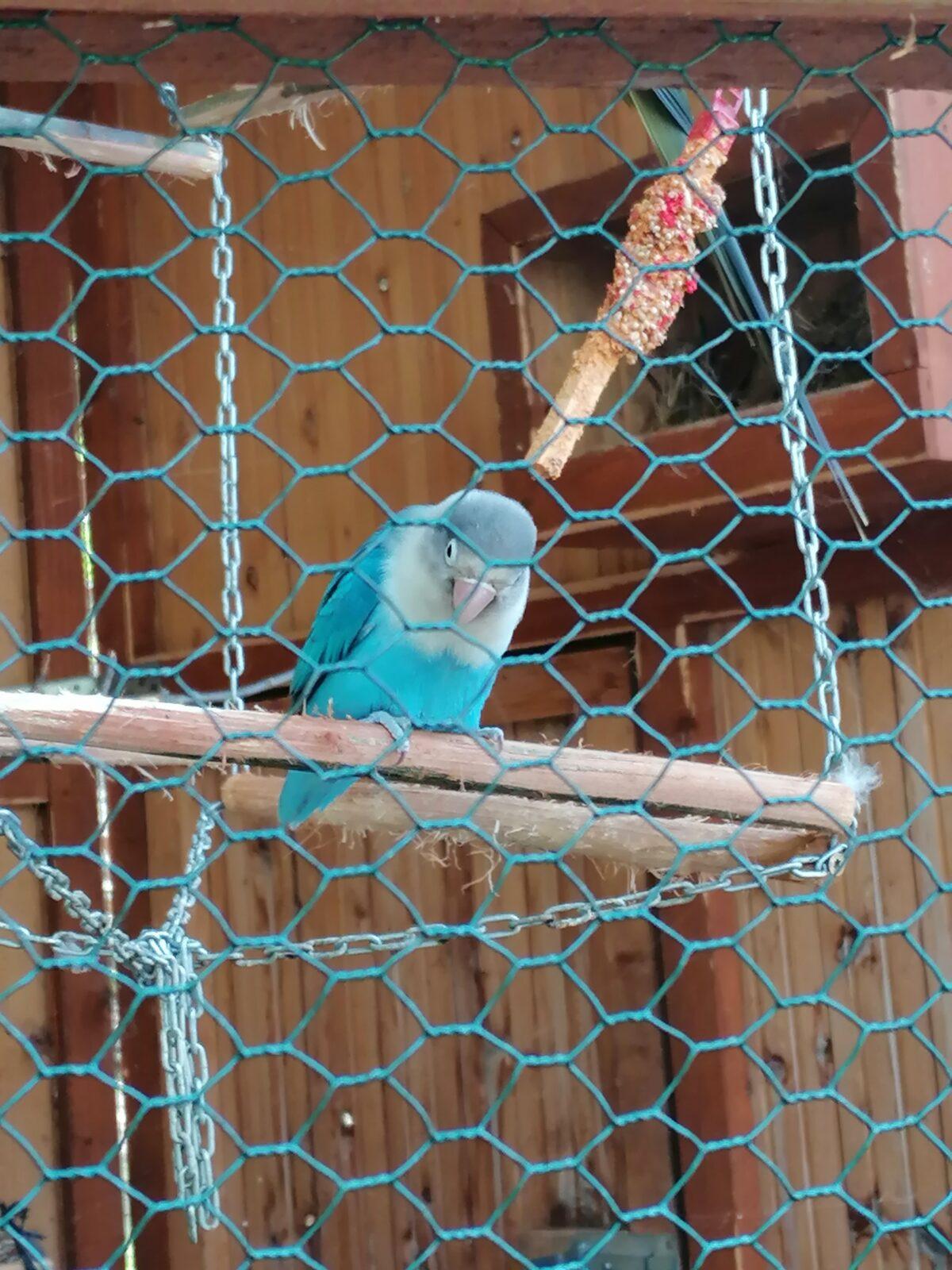 Sláva, nazdar výletu!!!!!! "Záchranná stanice Pasíčka" - 86