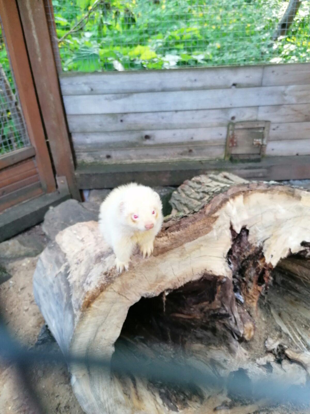 Sláva, nazdar výletu!!!!!! "Záchranná stanice Pasíčka" - 89