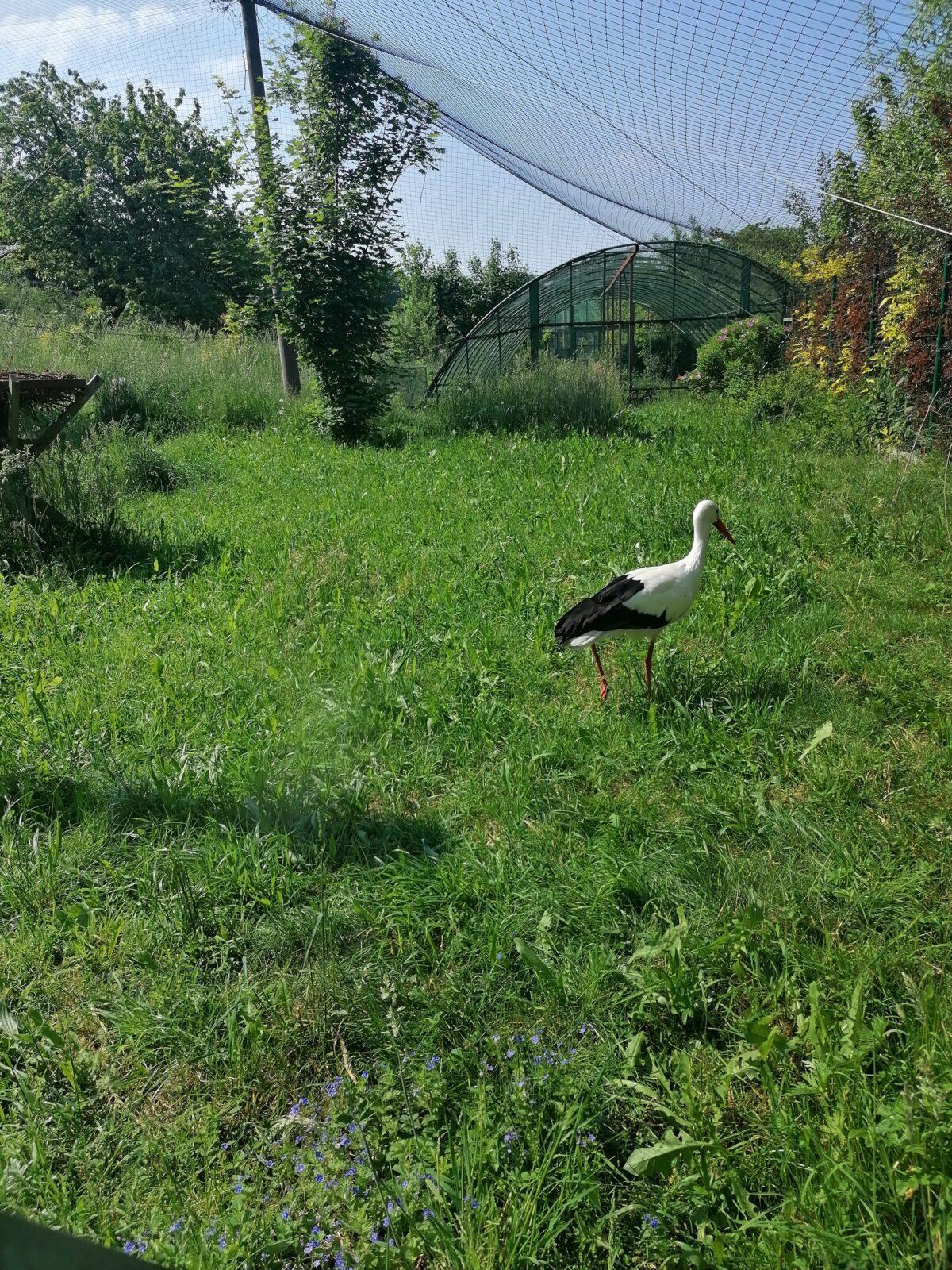 Sláva, nazdar výletu!!!!!! "Záchranná stanice Pasíčka" - 97