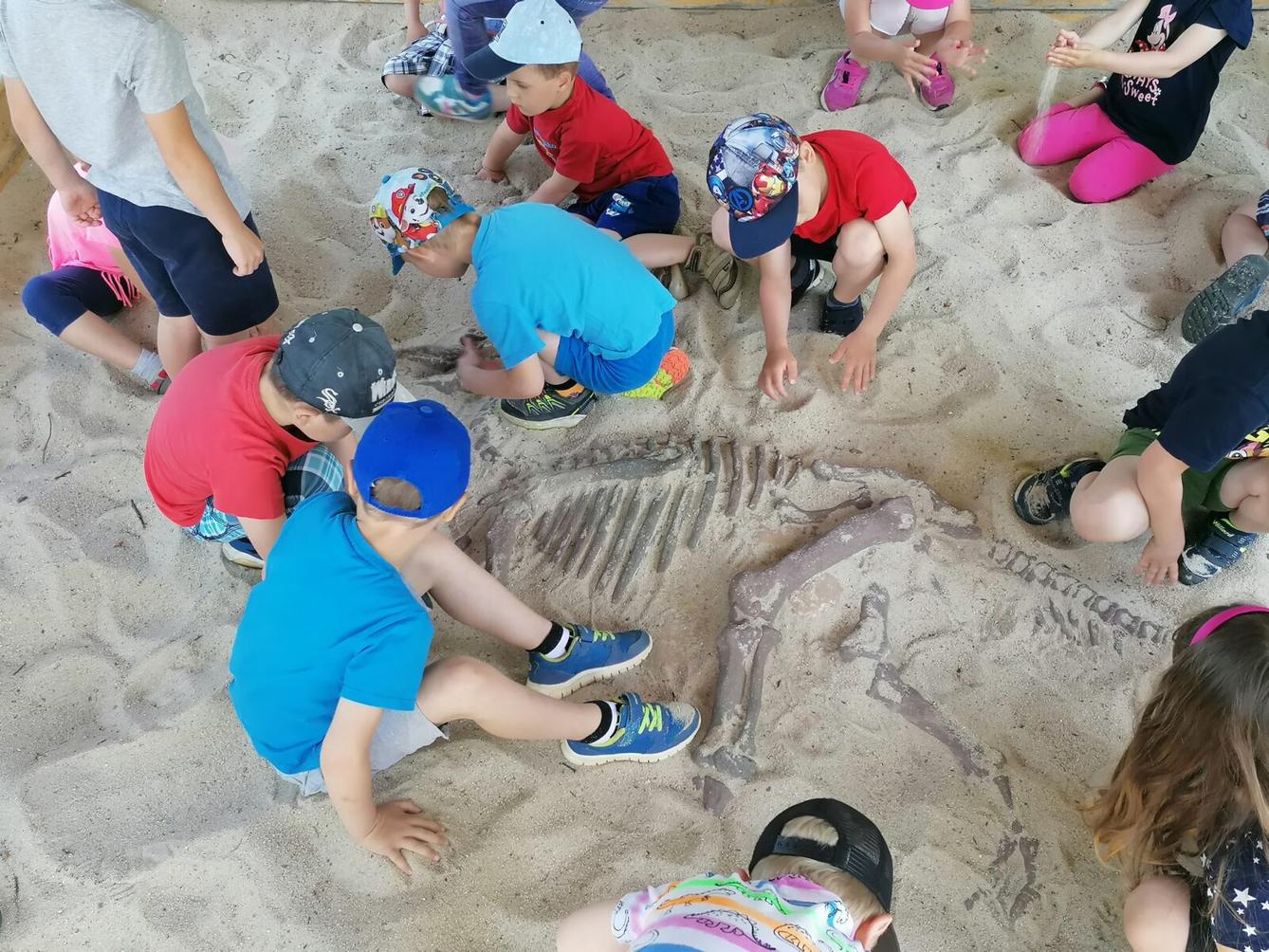 Sláva, nazdar výletu!!!!!! "Záchranná stanice Pasíčka" - 101