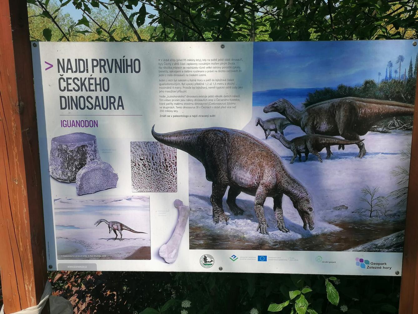 Sláva, nazdar výletu!!!!!! "Záchranná stanice Pasíčka" - 102