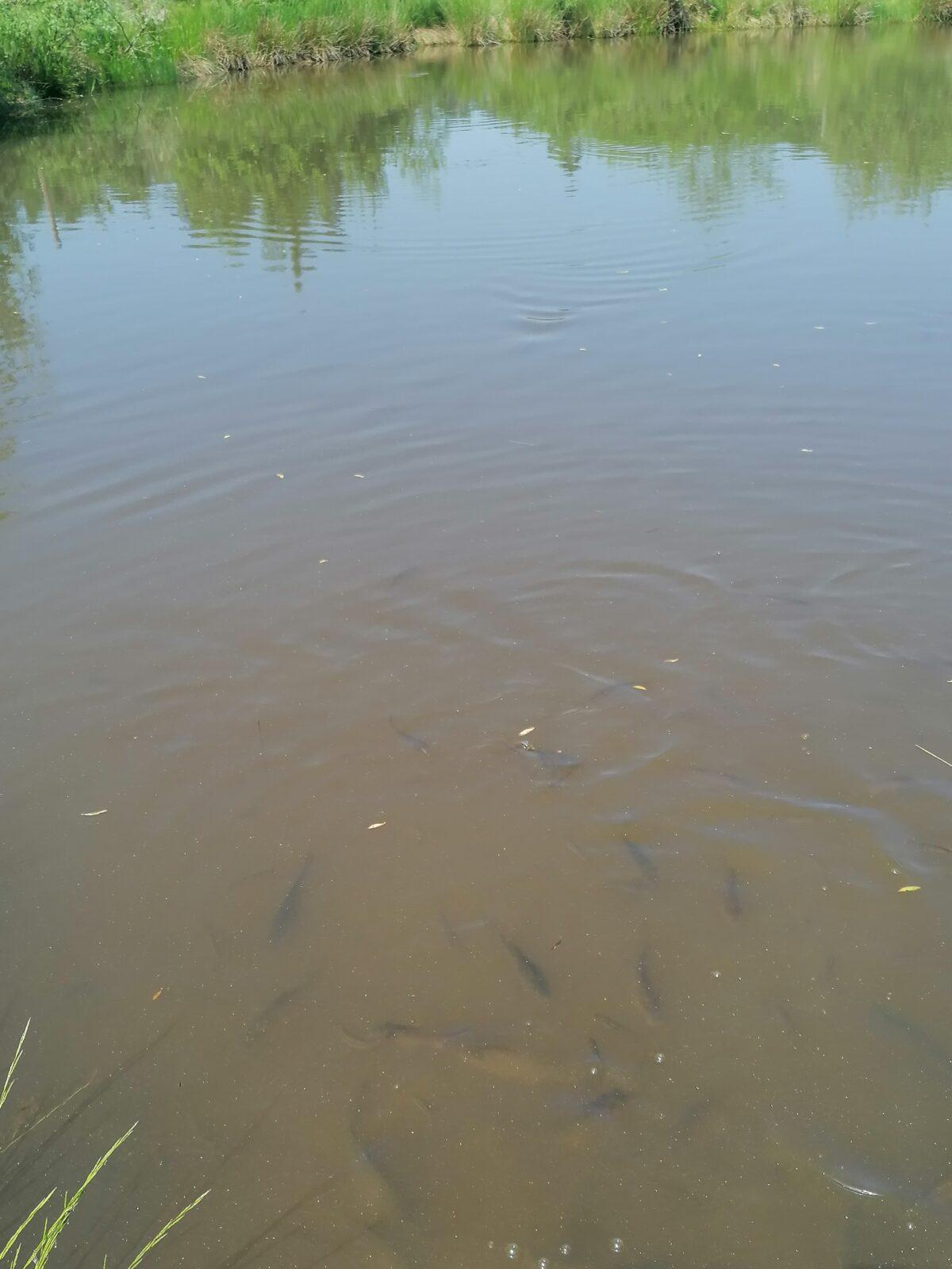 Sláva, nazdar výletu!!!!!! "Záchranná stanice Pasíčka" - 104