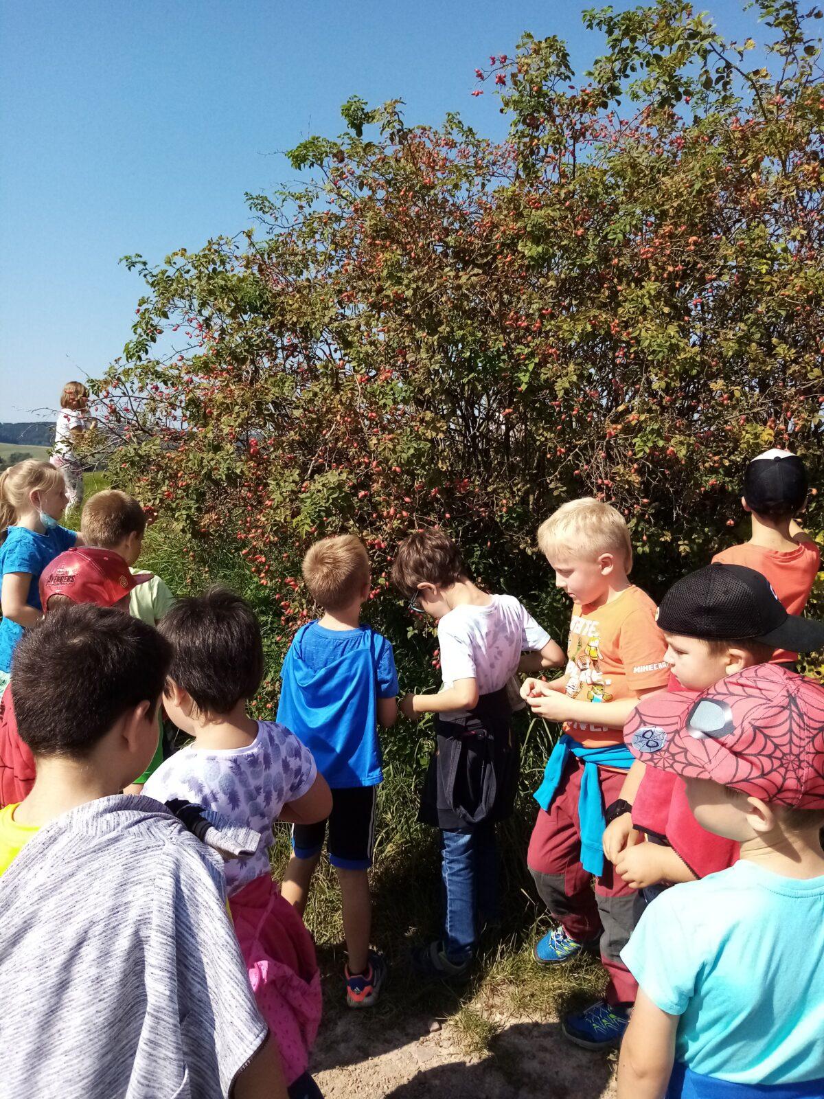 Družinka I. oddělení - 1