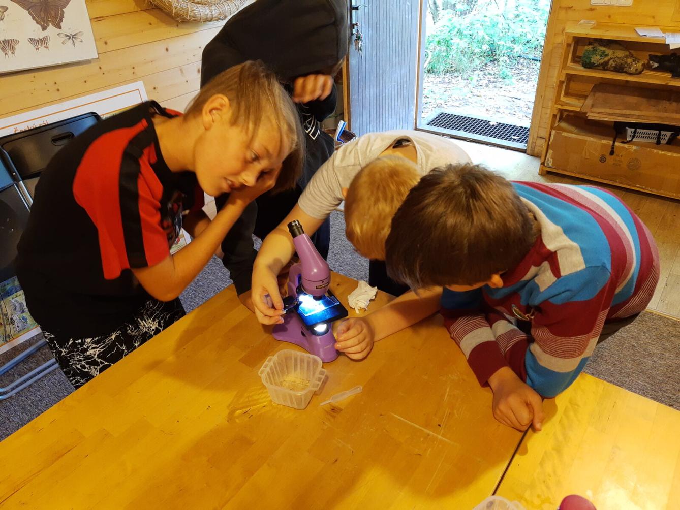 Adaptační pobyt šestých tříd - 6