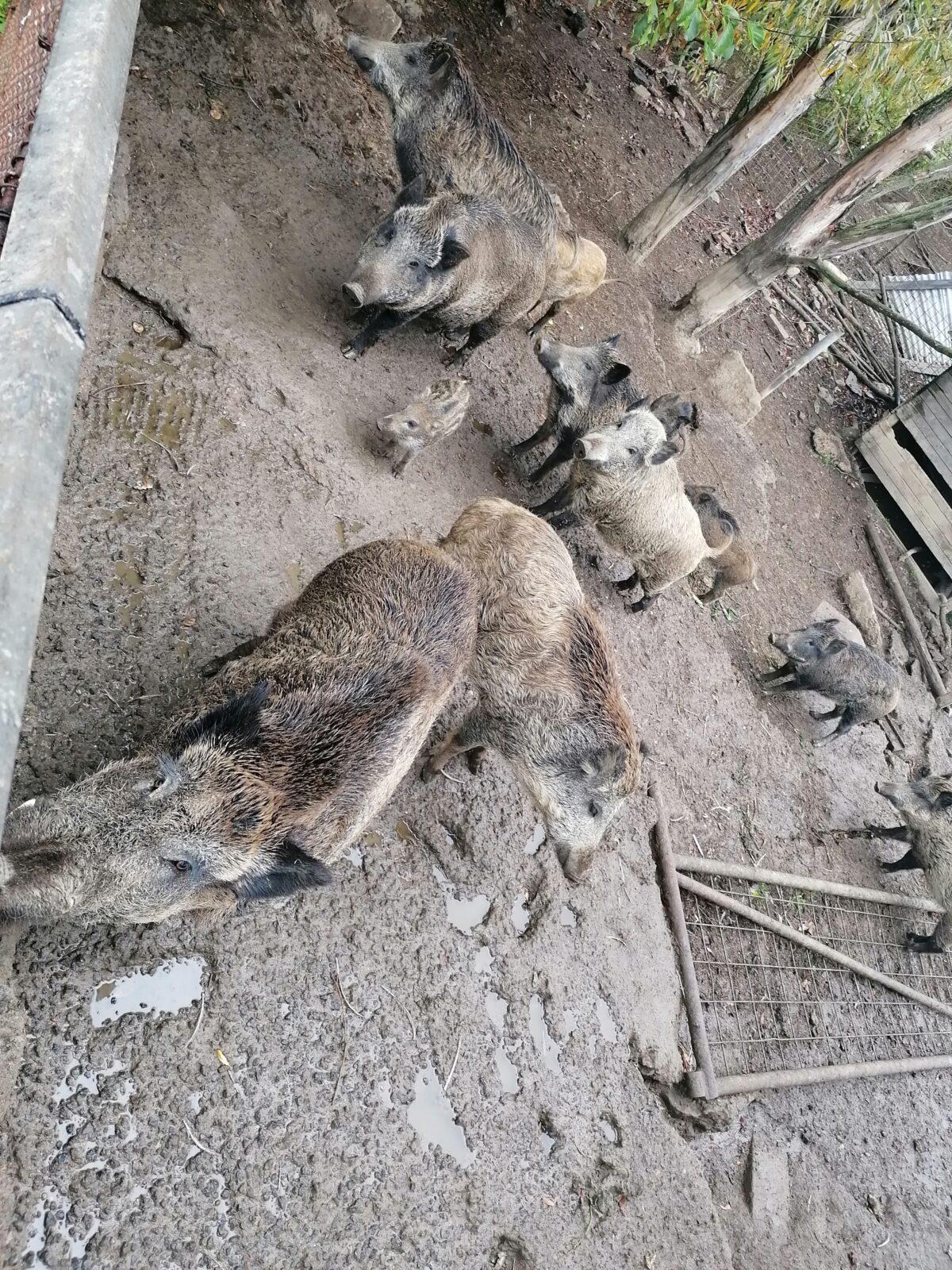 "Barevný svět kolem nás" - podzimní dny v MŠ :-) - 33