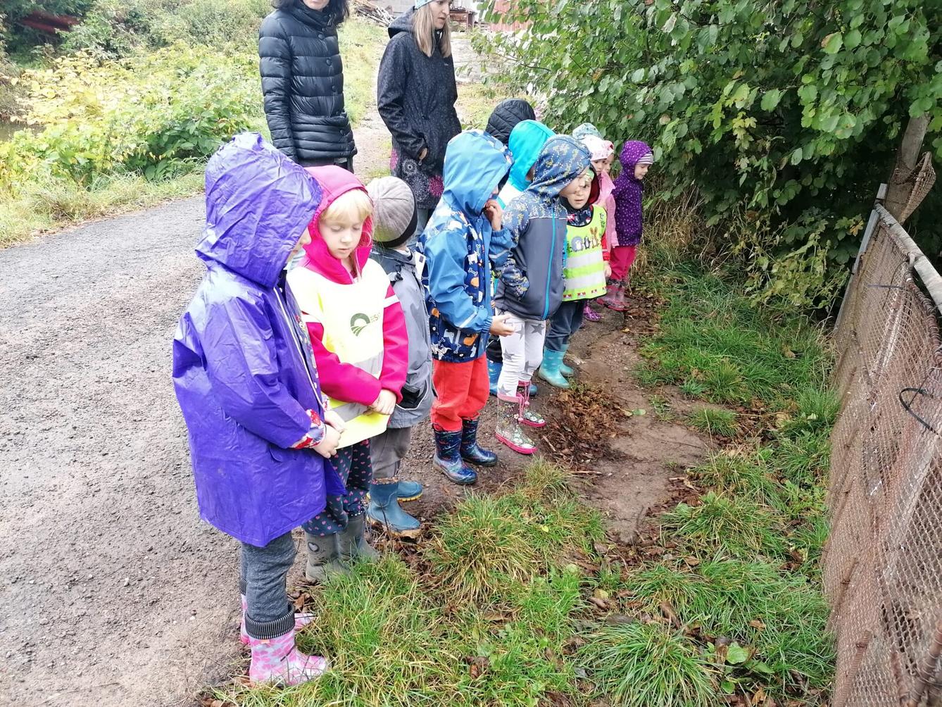 "Barevný svět kolem nás" - podzimní dny v MŠ :-) - 35
