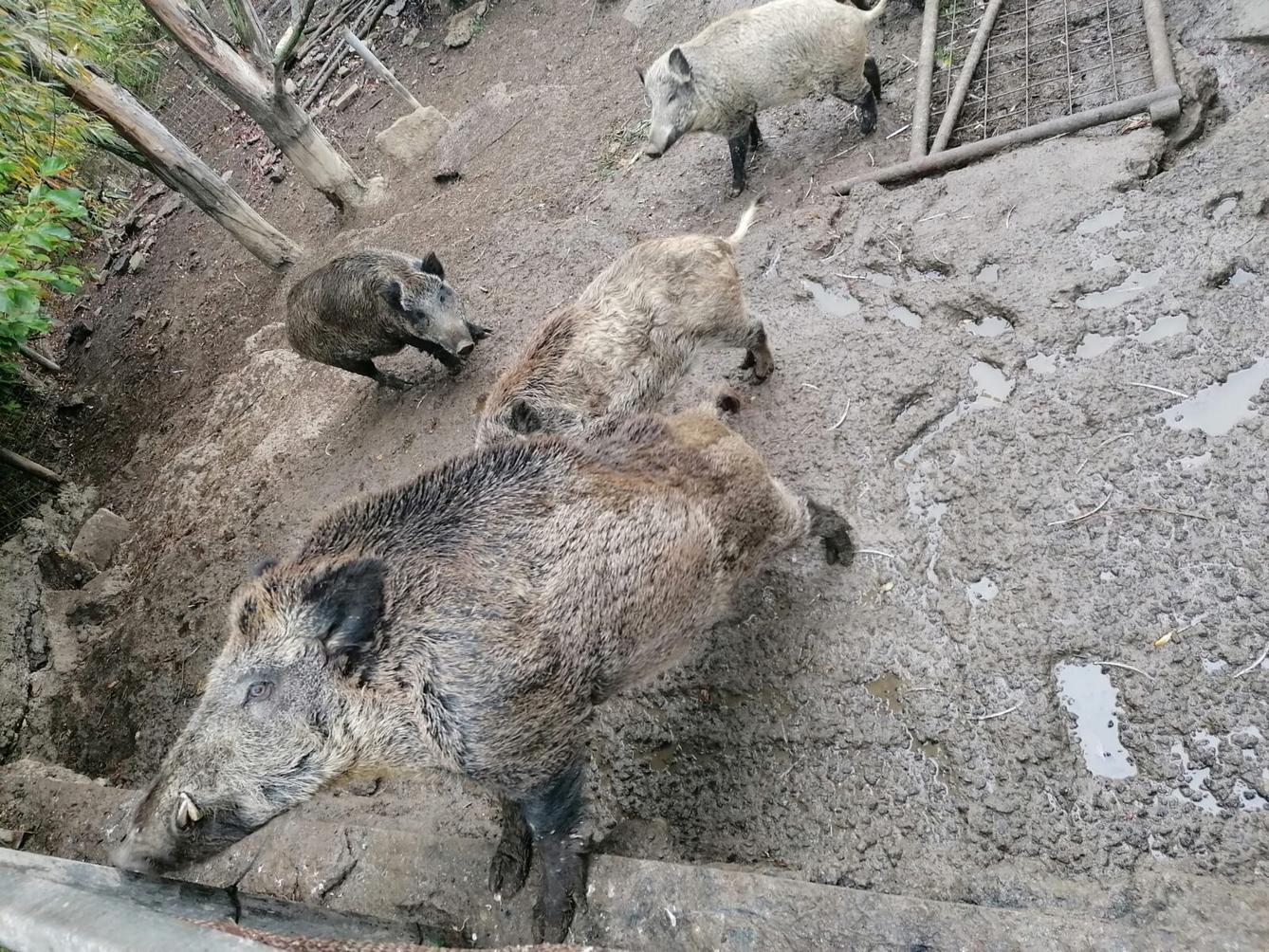 "Barevný svět kolem nás" - podzimní dny v MŠ :-) - 36