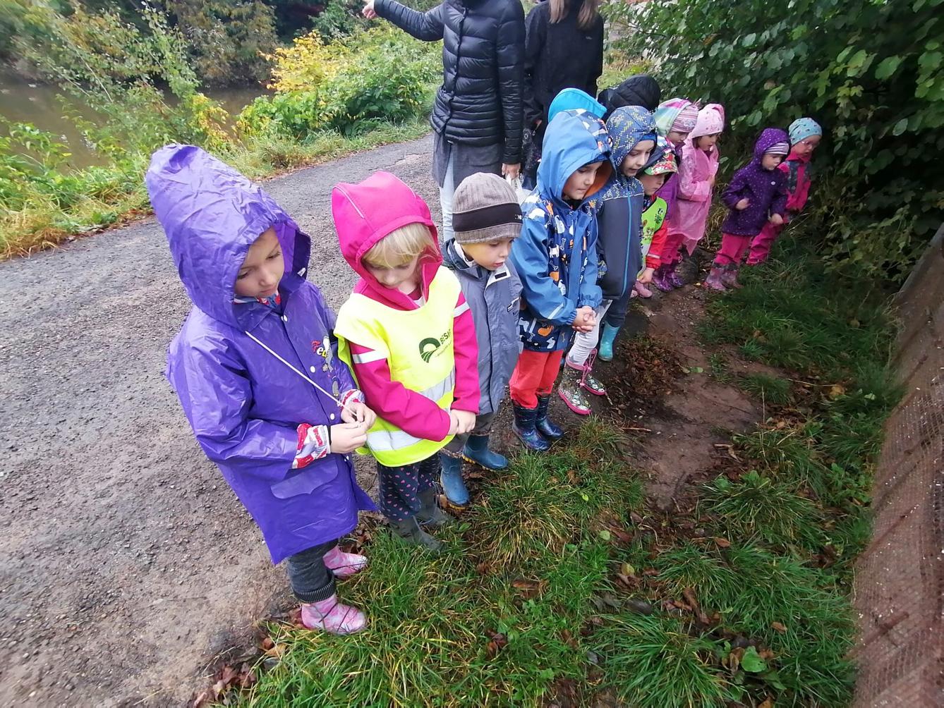 "Barevný svět kolem nás" - podzimní dny v MŠ :-) - 38