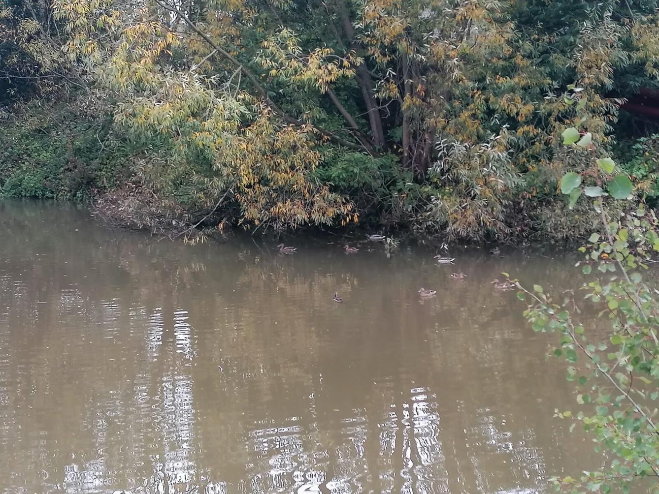 "Barevný svět kolem nás" - podzimní dny v MŠ :-) - 40