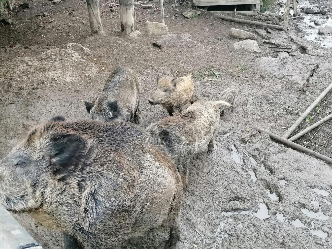 "Barevný svět kolem nás" - podzimní dny v MŠ :-) - 42