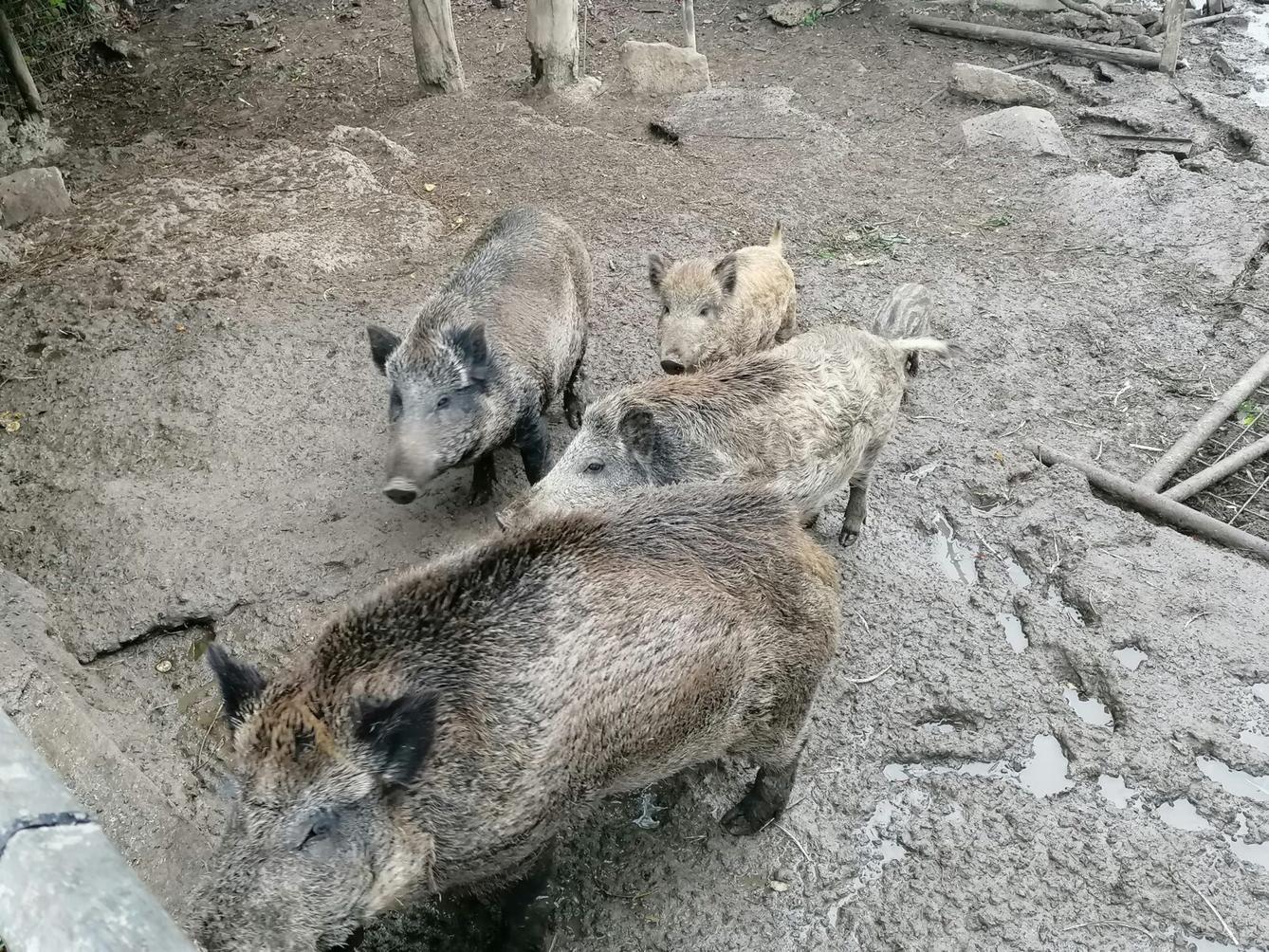 "Barevný svět kolem nás" - podzimní dny v MŠ :-) - 43