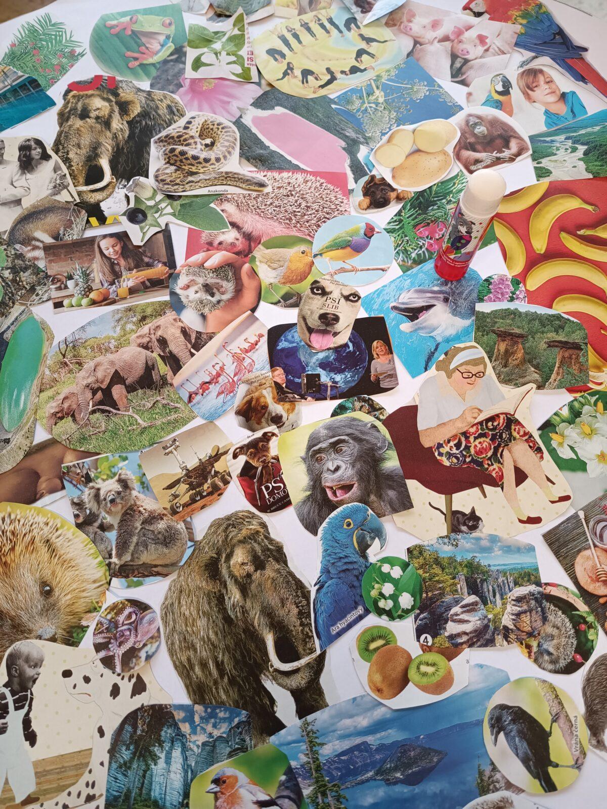 Zimní období 2. oddělení - 36