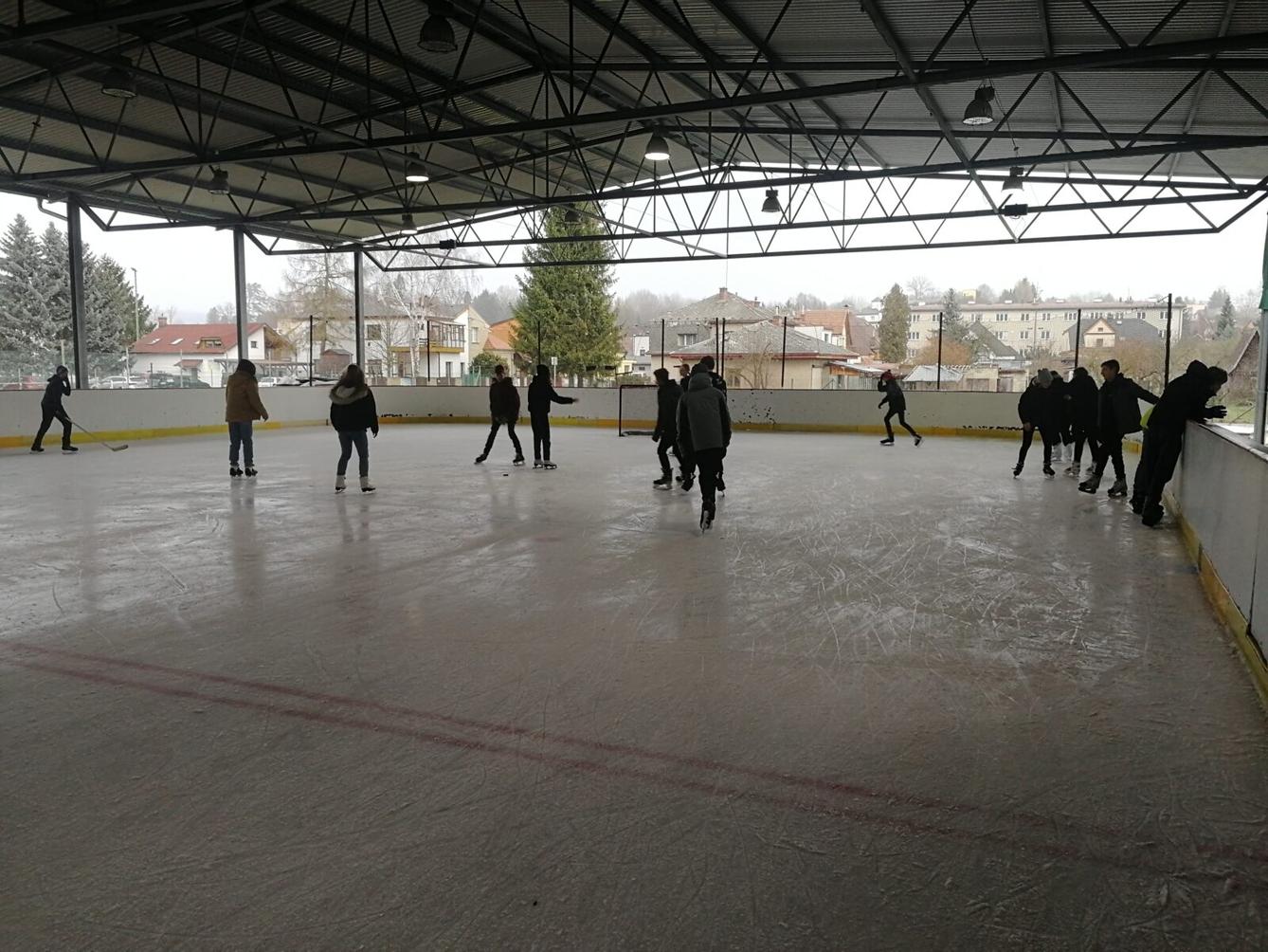 Osmáci a deváťáci na ledě - 31.1. - 2