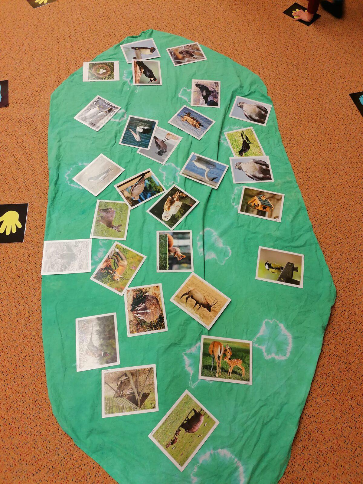 "Zvířátka a ptáčci v zimě" - skupinové práce :-) - 31