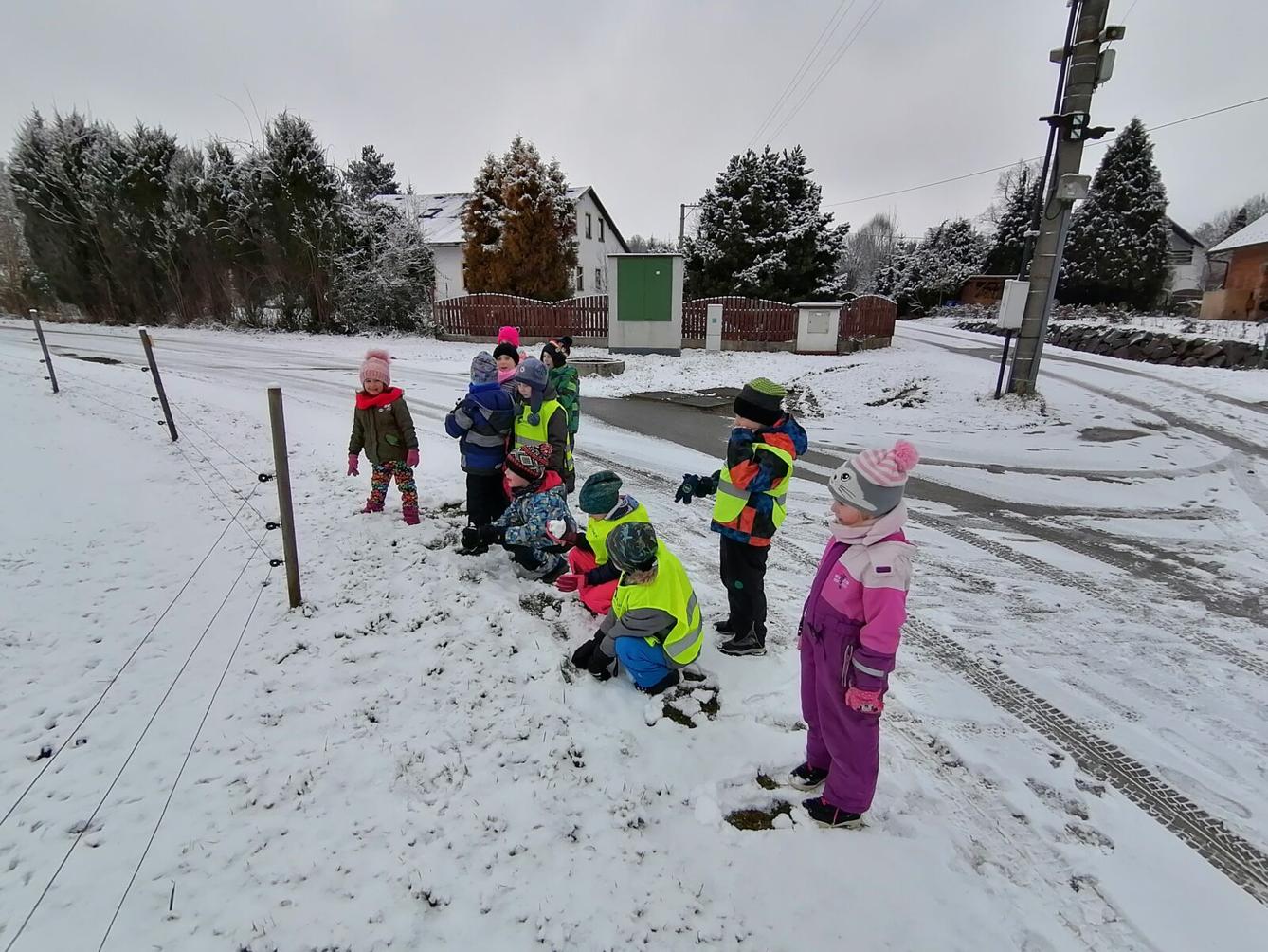 "Zvířátka a ptáčci v zimě" - skupinové práce :-) - 91