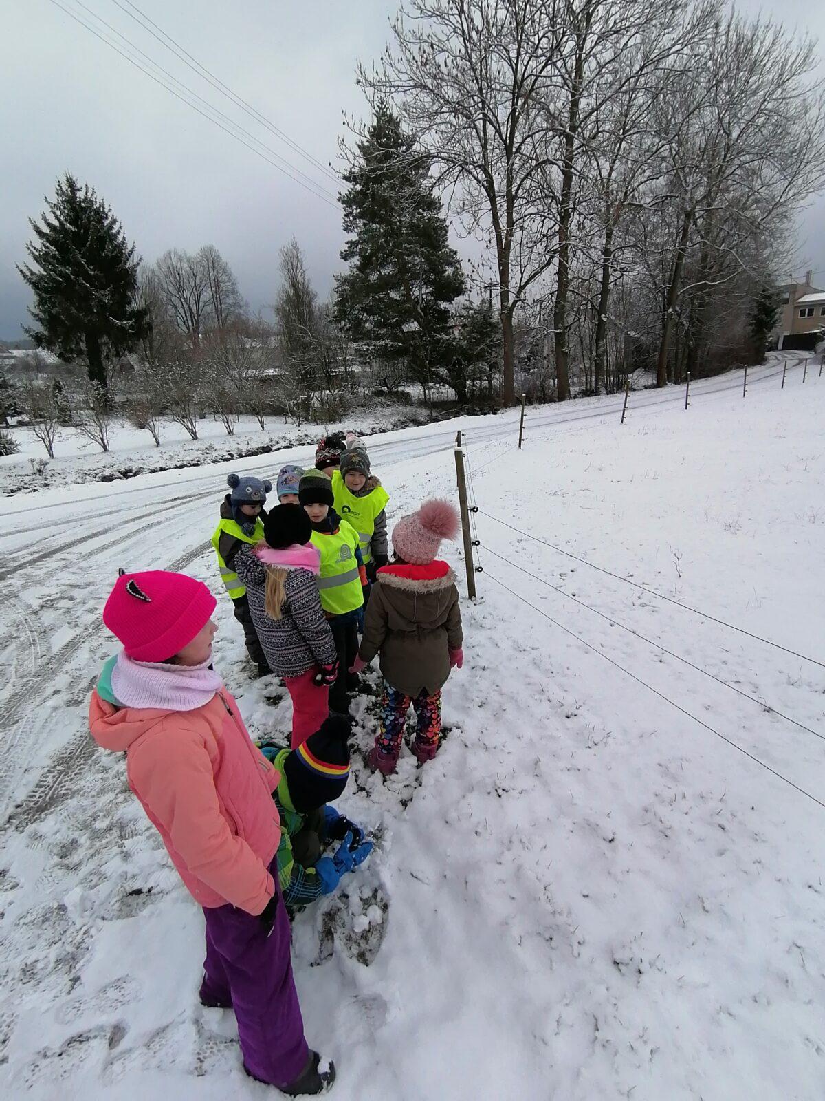 "Zvířátka a ptáčci v zimě" - skupinové práce :-) - 93