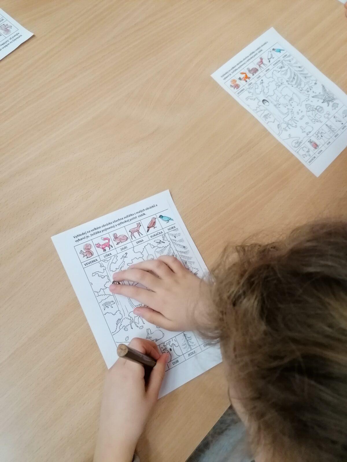 Sovičky: Tvořeníčko, tvoření: "Zvířátka a ptáčci v zimě" :-) - 24