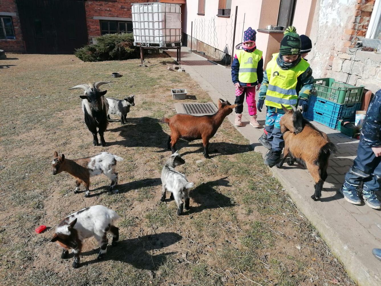 "Máme rádi zvířata" aneb "vycházky za zvířátky" :-) - 8
